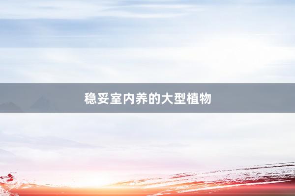 稳妥室内养的大型植物