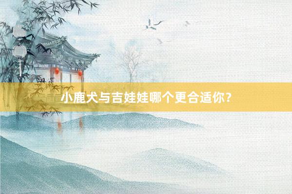 小鹿犬与吉娃娃哪个更合适你？