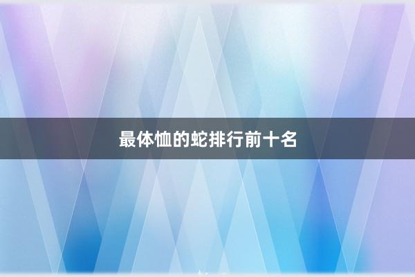 最体恤的蛇排行前十名
