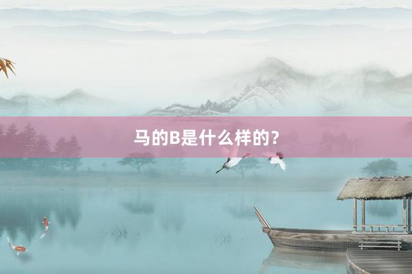 马的B是什么样的？