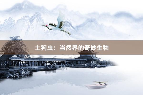 土狗虫：当然界的奇妙生物